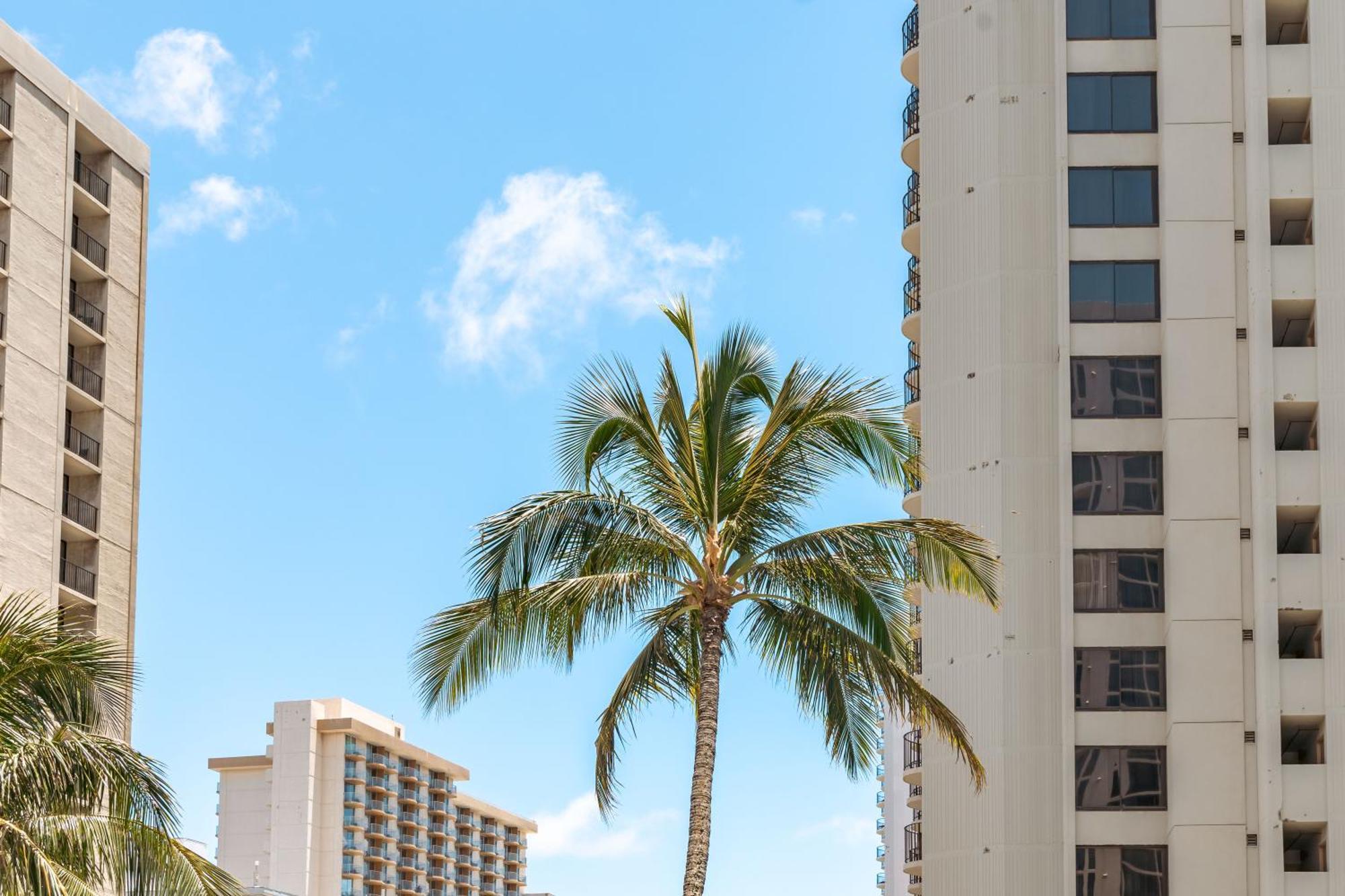 Apartamento Waikiki Banyan Oasis With Partial Ocean View, 1-Block To Beach, Free Parking Honolulu Exterior foto